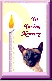 Tribute to Beloved Cats Ring