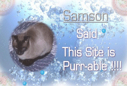 Sheba's Award  11.9kb